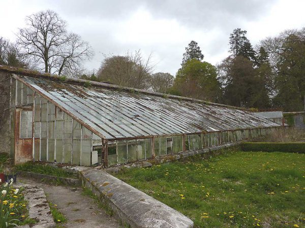 Humewood Glasshouse | Restoration
